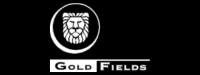 Gold Fields